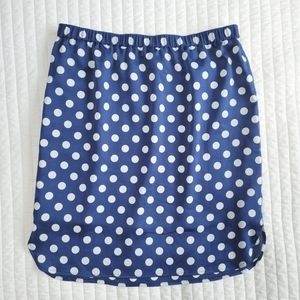 ANN TAYLOR silky skirt